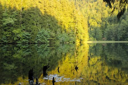 Bateti lake in mountains of Georgia, Khareli. Forest, green colors, sunset and reflections on the water.の写真素材