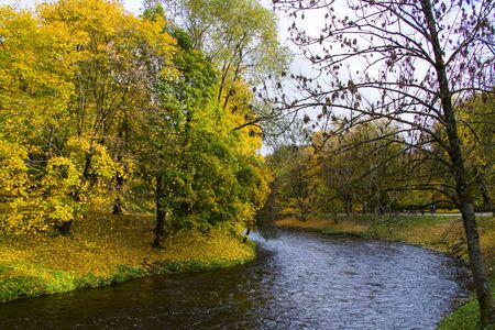 Famous park in city center of Vilnius, Autumn and fall trees and leaves. Lithuania