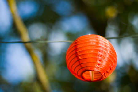 Bokeh of the nature, blur focus background, nature background, green colors. Sunlight on the grass...