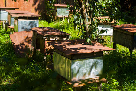 Beehive in the village yard in Racha, Georgia
