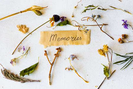 Autumn vibes travel memories, dried plants and flowers, copy paste space, letter and words on the...