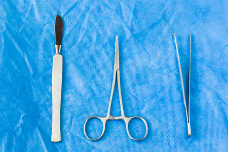 Dissection Kit - Stainless Steel Tools for Medical Students of Anatomy, Biology, Veterinary, Marine Biologyの写真素材