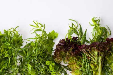 Greens vegetable leaves on the white background, high angle view