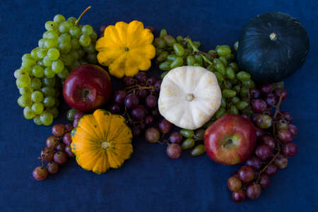 Autumn and fall harvest, pumpkin, apple, grape and pattison on the blue background