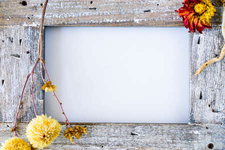 Empty frame on the white backgroundの写真素材