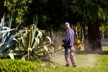 Zugdidi, Georgia - October 12, 2020: Grass cutting process, worker cutting grass with machine in the parkのeditorial素材