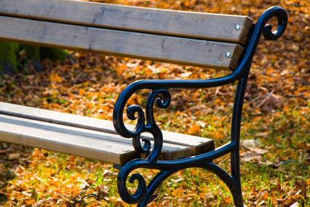 Chair in the park and autumn leaves on the land in Georgia