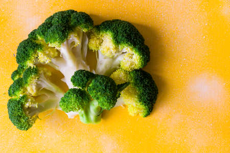 Broccoli vegetable like a tree, broccoli forests on the background, high angle view