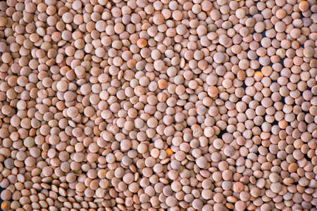 Healthy grains, green lentils and full of vitamins, close-up