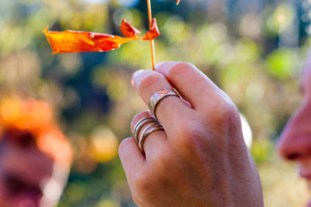Autumn and fall yellow and red leave close-up, nature background, yellow color leave and hand holding leafの写真素材