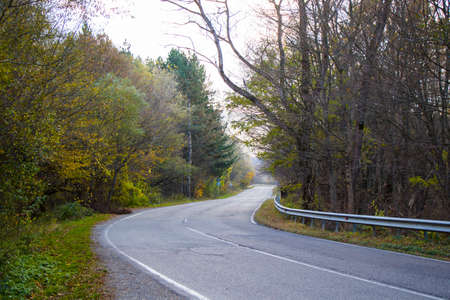 Empty highway and road in Kakheti, Georgia, autumn tree and plants and blue cloudy sky