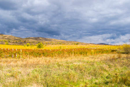 Autumn and fall landscape and view in Kakheti, Georgia