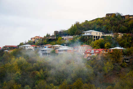 Colorful plant yellow leaves on the colorful bokeh background, beautiful nature textureの写真素材