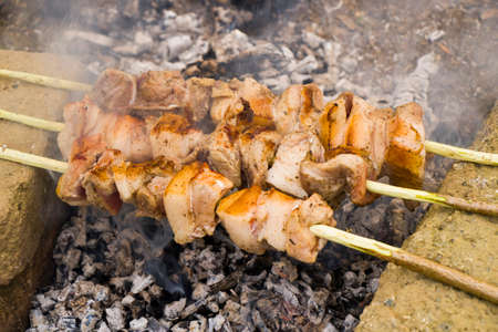 Georgian traditional dish, Mtsvadi on the fire, raw meal on the grill, barbequeの写真素材
