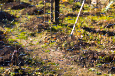 Metal fence background, real fence close-up and texture, daylight and outdoor