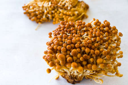 Golden brown Asian Enoki mushrooms, vegetable background, fungus