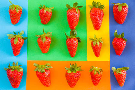 Strawberries on the colorful background, raw real strawberries, high angle viewの写真素材