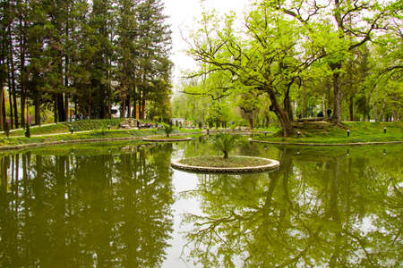 Pond in the park, Zugdidi Botanic garden in Georgia. Springtime.の写真素材