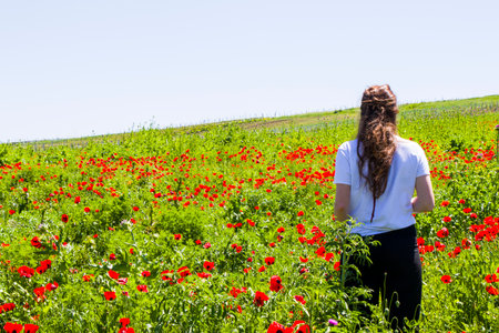 Beautiful women in field of poppy and yellow flowers, daylight and outdoor, Georgian natureの写真素材