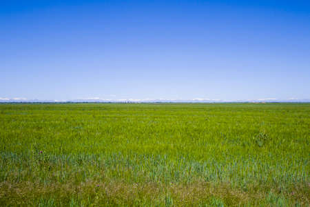 Green valley and caucasus mountain range landscape in Kakheti, Georgiaの写真素材
