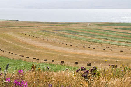 Haystacks and rolls, agriculture in Georgia, dry hay and mountain landscape with Faravani lake