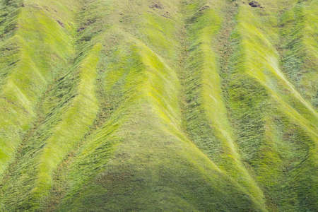 Green mountain landscape and view in Georgia. Close-up of mountain in Truso.