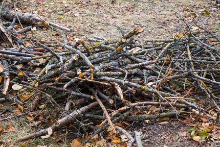 Cut firewood in the yard of village house, wood for fireplaceの写真素材
