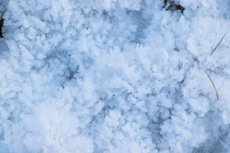 Iced dew on the grass and leaves on the land, morning cold and snow