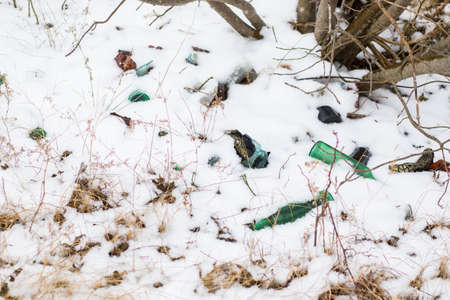 Snow on the plant, winter snow macro, brown and white colorsの写真素材