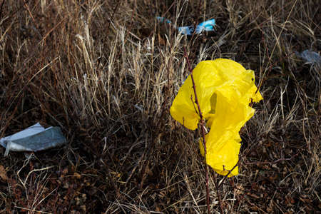 Plastic bag, environment pollution and garbage, planet junk