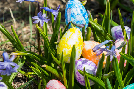 Happy Easter, colorful eggs and flowers. Grass and land.