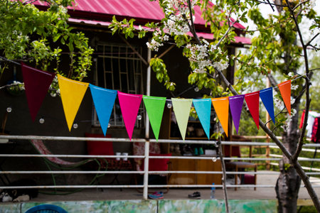 Party flags in yard, colorful flagsの写真素材