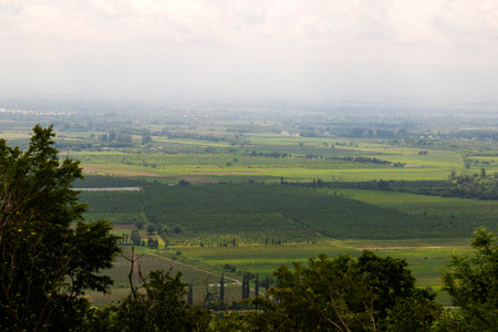 Alazani valley landscape and view in Kakheti, Georgia