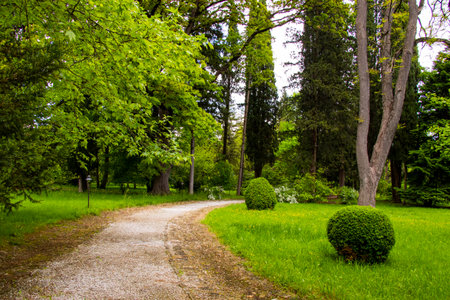 Park and garden in Tsinandali, Georgia.の写真素材