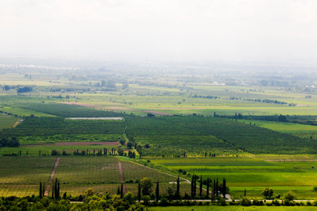Alazani valley landscape and view in Kakheti, Georgiaの写真素材