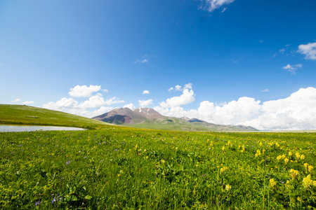 Landscape of Javakheti mountains in Georgia, Abuli mountainsの写真素材