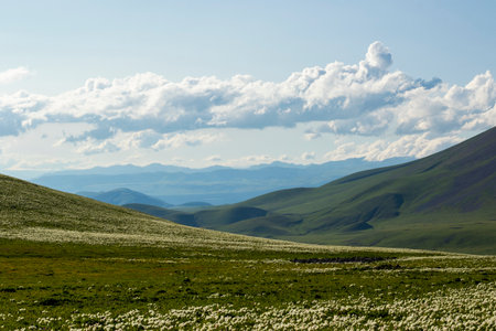 Mountain landscape in Abuli mount, Goergiaの写真素材