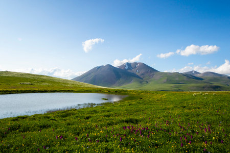 Mountain landscape in Abuli mount, Goergiaの写真素材