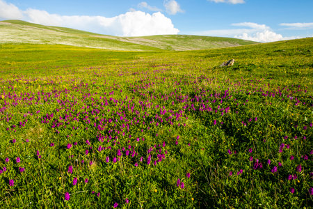 Mountain landscape in Abuli mount, Goergiaの写真素材