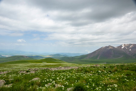 Mountain landscape in Abuli mount, Goergiaの写真素材