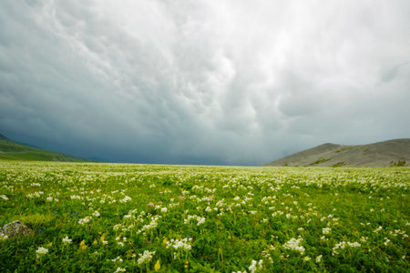 Mountain landscape in Abuli mount during stormy weather, Georgiaの写真素材