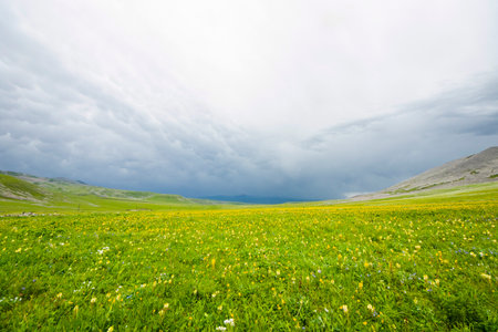Mountain landscape in Abuli mount during stormy weather, Georgiaの写真素材
