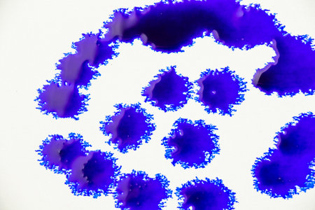 Blue color ink paint on the white backgroundの写真素材