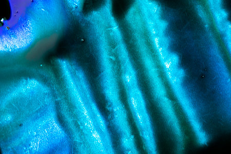 Blue color ink paint on the white backgroundの写真素材