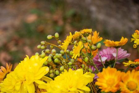 Autumn flowers bad for party decorationsの写真素材