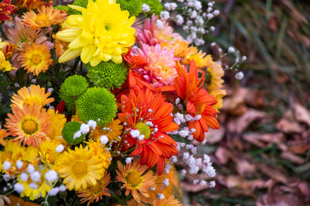 Autumn flowers bad for party decorationsの写真素材
