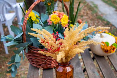 Autumn grass bug for decorationsの写真素材