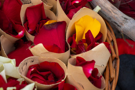 Rose leaves for wedding bugの写真素材