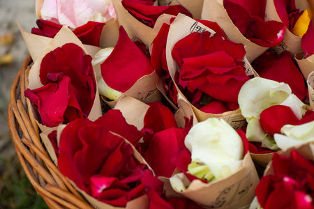 Rose leaves for wedding bugの写真素材