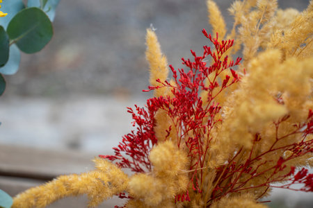 Autumn grass bug for decorationsの写真素材